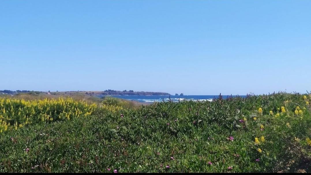 Saldemar Playa Hermosa Pichilemu Εξωτερικό φωτογραφία